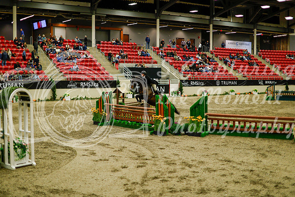2025 - Haylee - Royal West - Saturday October 18th - 08921