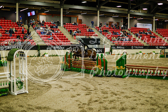 2025 - Haylee - Royal West - Saturday October 18th - 08923