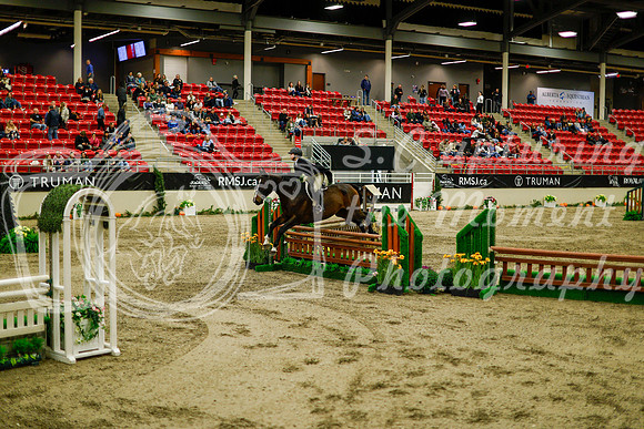 2025 - Haylee - Royal West - Saturday October 18th - 08924