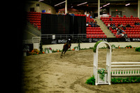 2025 - Haylee - Royal West - Saturday October 18th - 08926