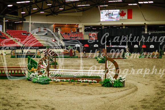 2025 - Haylee - Royal West - Saturday October 18th - 08928