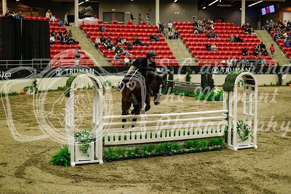 2025 - Haylee - Royal West - Saturday October 18th - 08929