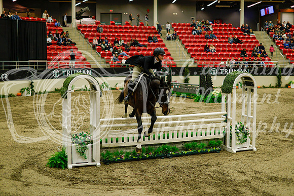 2025 - Haylee - Royal West - Saturday October 18th - 08931