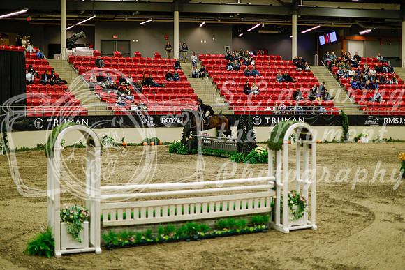 2025 - Haylee - Royal West - Saturday October 18th - 08935