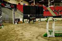 2025 - Haylee - Royal West - Saturday October 18th - 08936