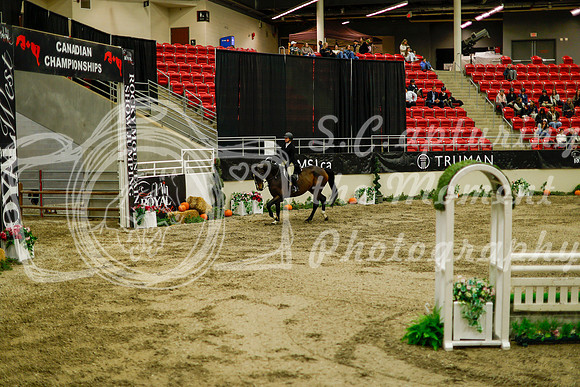 2025 - Haylee - Royal West - Saturday October 18th - 08936