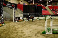 2025 - Haylee - Royal West - Saturday October 18th - 08937