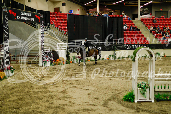 2025 - Haylee - Royal West - Saturday October 18th - 08937