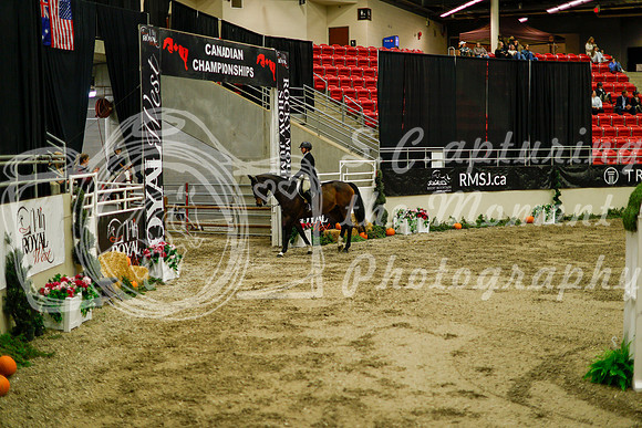 2025 - Haylee - Royal West - Saturday October 18th - 08938