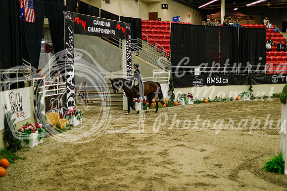 2025 - Haylee - Royal West - Saturday October 18th - 08939