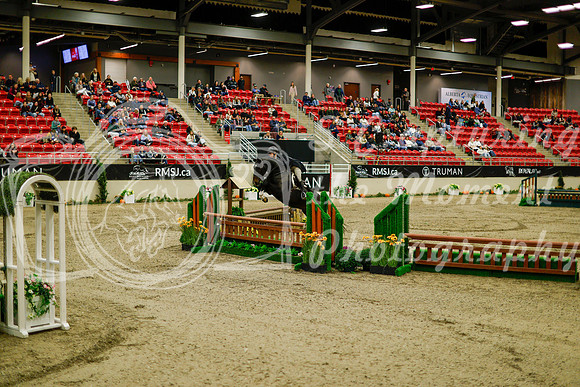 2025 - Haylee - Royal West - Saturday October 18th - 08232