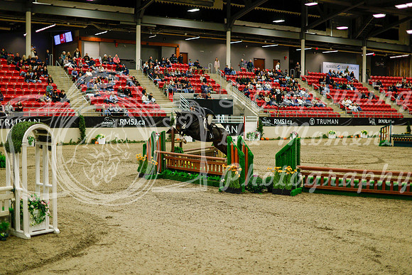 2025 - Haylee - Royal West - Saturday October 18th - 08233