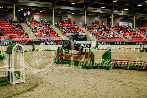 2025 - Haylee - Royal West - Saturday October 18th - 08234