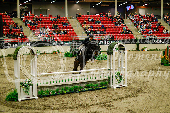 2025 - Haylee - Royal West - Saturday October 18th - 08236