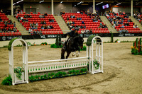 2025 - Haylee - Royal West - Saturday October 18th - 08237