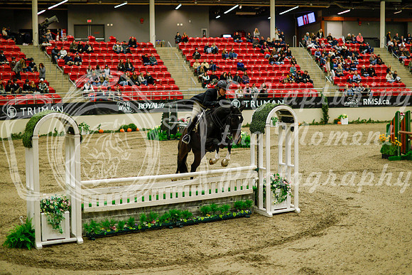 2025 - Haylee - Royal West - Saturday October 18th - 08237