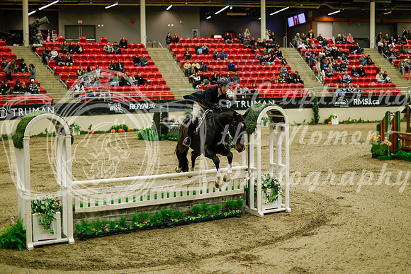 2025 - Haylee - Royal West - Saturday October 18th - 08238