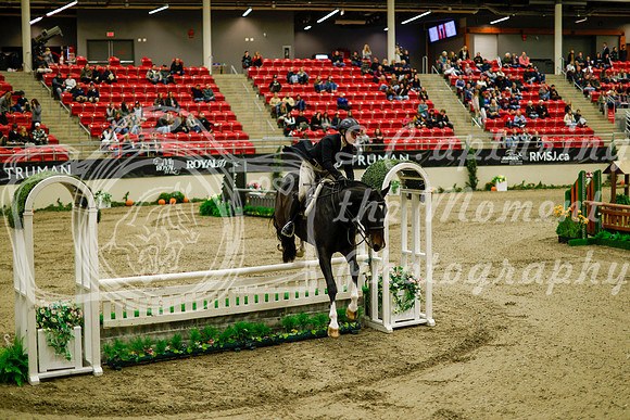 2025 - Haylee - Royal West - Saturday October 18th - 08239