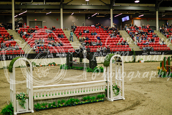 2025 - Haylee - Royal West - Saturday October 18th - 08240