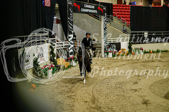 2025 - Haylee - Royal West - Saturday October 18th - 08243