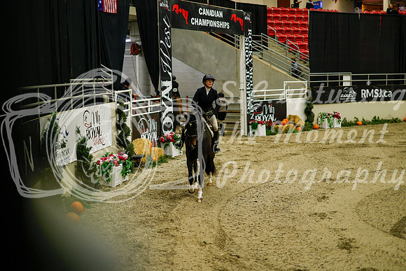 2025 - Haylee - Royal West - Saturday October 18th - 08244