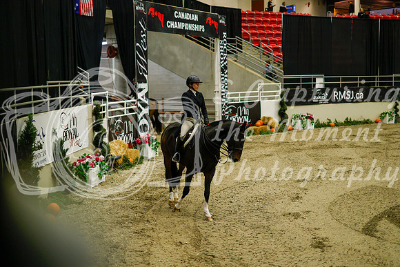2025 - Haylee - Royal West - Saturday October 18th - 08245