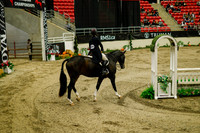 2025 - Haylee - Royal West - Saturday October 18th - 08246