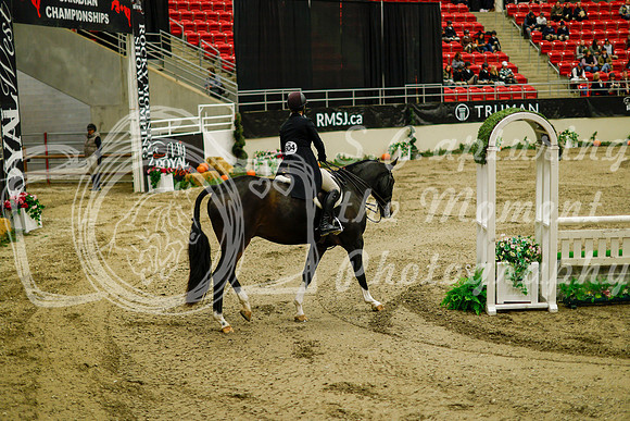 2025 - Haylee - Royal West - Saturday October 18th - 08246