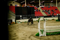 2025 - Haylee - Royal West - Saturday October 18th - 08850