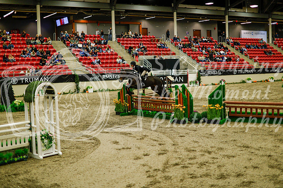 2025 - Haylee - Royal West - Saturday October 18th - 08848