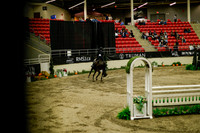 2025 - Haylee - Royal West - Saturday October 18th - 08851