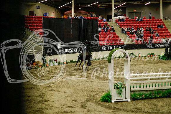 2025 - Haylee - Royal West - Saturday October 18th - 08851