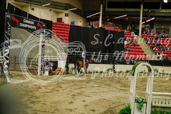 2025 - Haylee - Royal West - Saturday October 18th - 08445