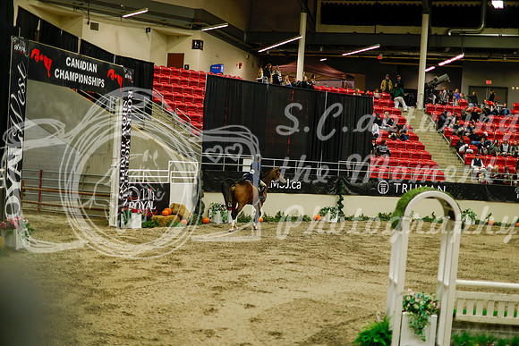 2025 - Haylee - Royal West - Saturday October 18th - 08446