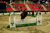 2025 - Haylee - Royal West - Saturday October 18th - 08853