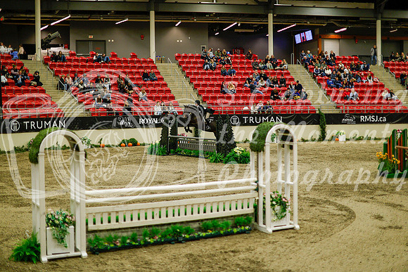 2025 - Haylee - Royal West - Saturday October 18th - 08856