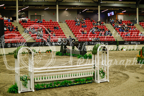 2025 - Haylee - Royal West - Saturday October 18th - 08857