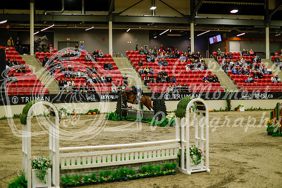 2025 - Haylee - Royal West - Saturday October 18th - 08452