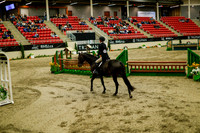 2025 - Haylee - Royal West - Saturday October 18th - 08860