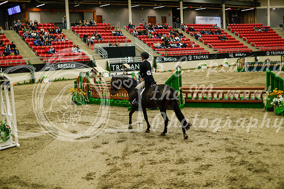 2025 - Haylee - Royal West - Saturday October 18th - 08860