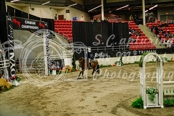 2025 - Haylee - Royal West - Saturday October 18th - 08453