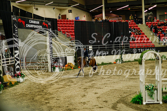 2025 - Haylee - Royal West - Saturday October 18th - 08454