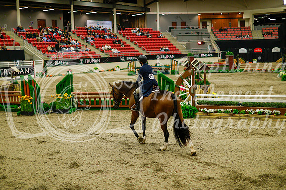 2025 - Haylee - Royal West - Saturday October 18th - 08458