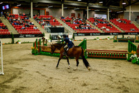 2025 - Haylee - Royal West - Saturday October 18th - 08460
