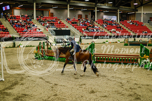 2025 - Haylee - Royal West - Saturday October 18th - 08460