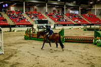 2025 - Haylee - Royal West - Saturday October 18th - 08461