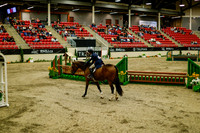 2025 - Haylee - Royal West - Saturday October 18th - 08462