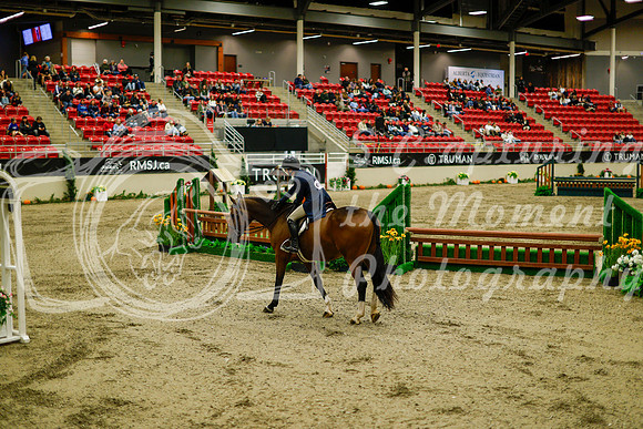 2025 - Haylee - Royal West - Saturday October 18th - 08462