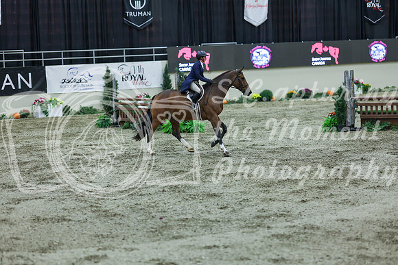 2025 - Shea - Royal West - Saturday October 18th - 06039