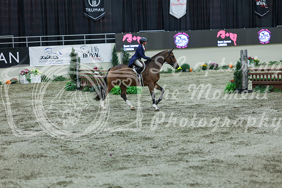 2025 - Shea - Royal West - Saturday October 18th - 06040